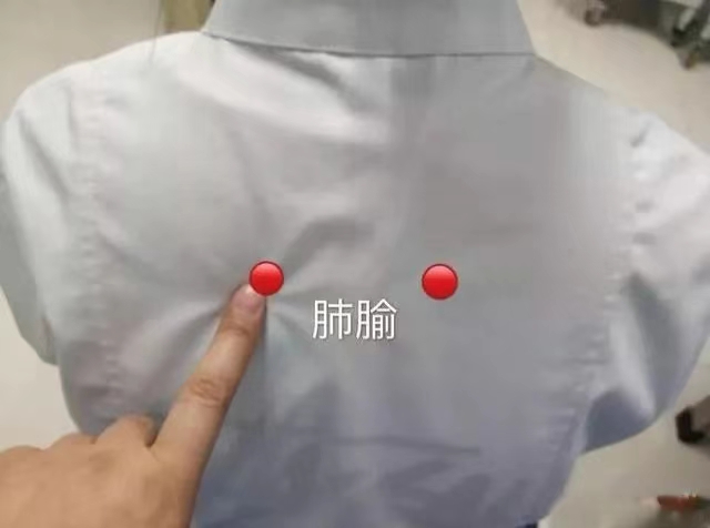 微信图片_20240806191206.jpg