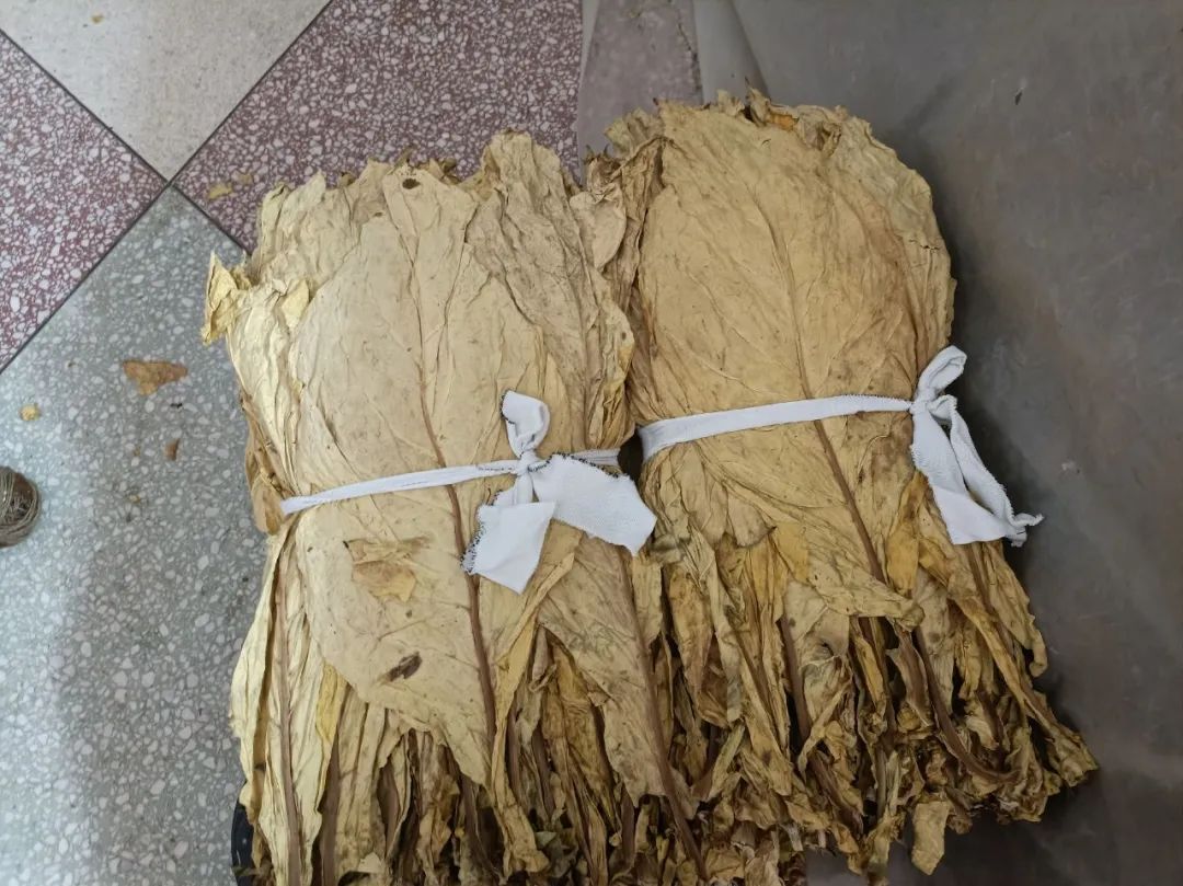 微信图片_20250809163201.jpg